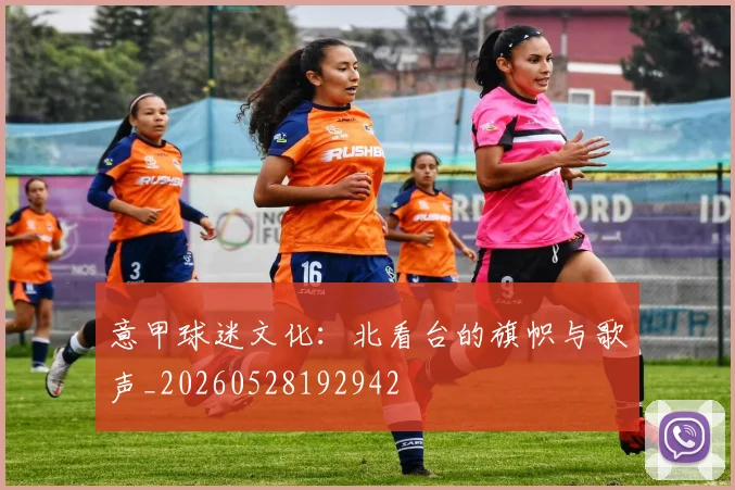 意甲球迷文化：北看台的旗帜与歌声_20260528192942